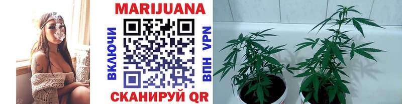 КЕТАМИН Данков