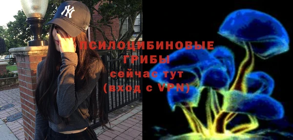 ГАЛЛЮЦИНОГЕННЫЕ ГРИБЫ Алексеевка